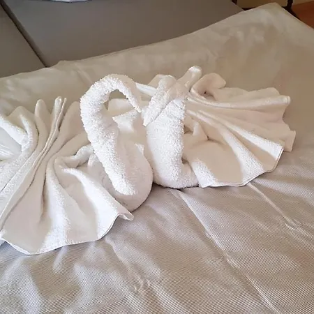 Safari アパート *